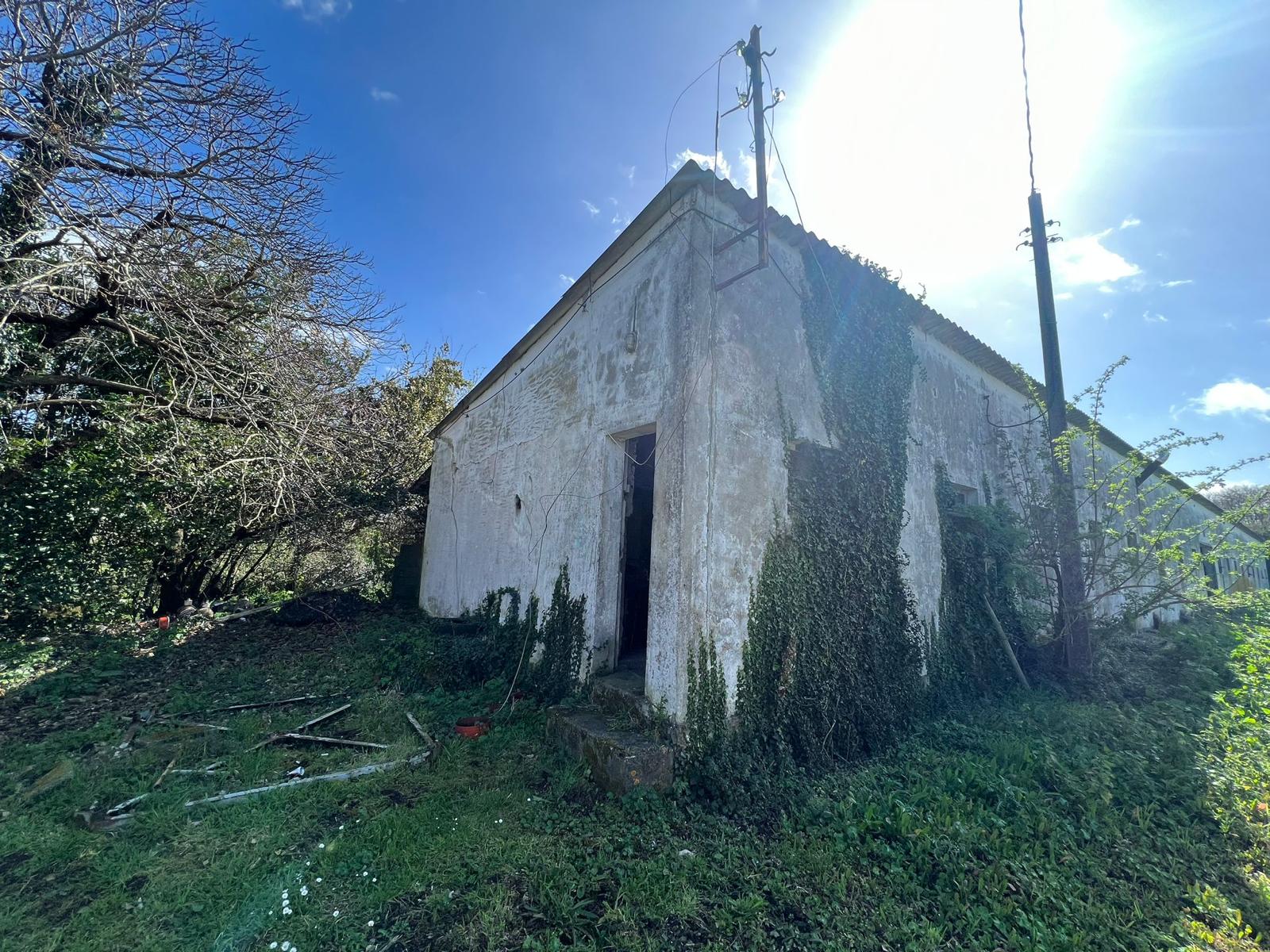 Image Slider