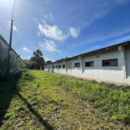 Naves en Valdoviño