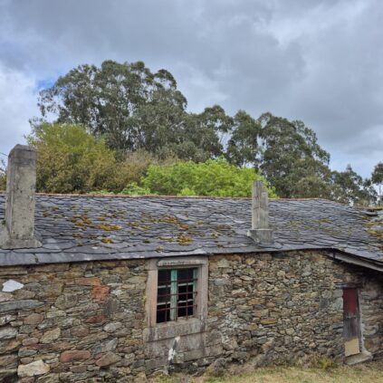 Finca Rústica en Somozas